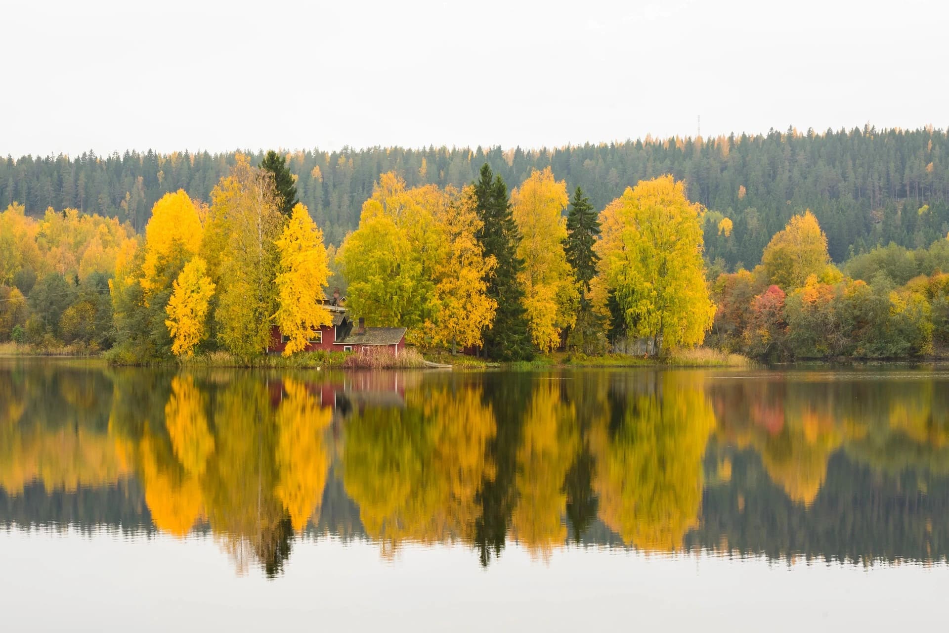 Senior using technology